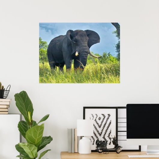 Elephant Posters (Thuiskantoor)