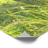 Elephant Posters (Hoek)