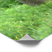 Elephant Posters (Hoek)