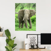 Elephant Posters (Thuiskantoor)