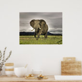 Elephant Posters (Keuken)
