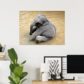 Elephant Posters (Thuiskantoor)