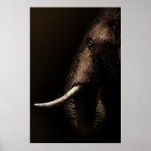Elephant Profile Poster (Devant)