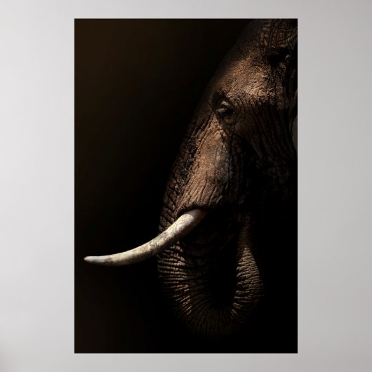 Elephant Profile Poster (Devant)