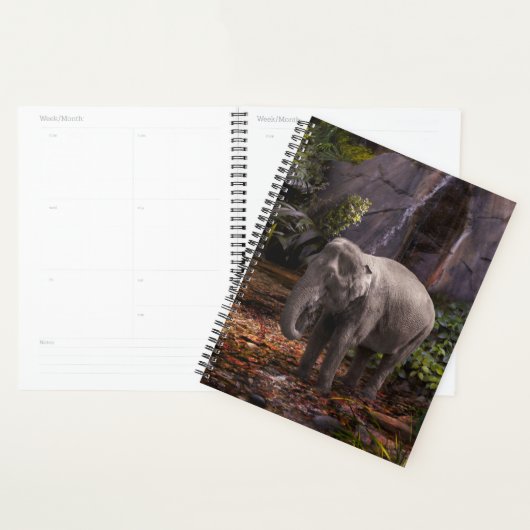 ELEPHANT RAIN FOREST PLANNER (Display)