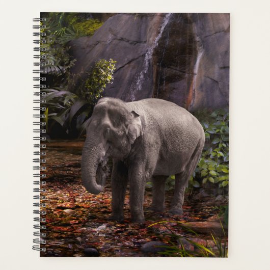 ELEPHANT RAIN FOREST PLANNER (Voorkant)