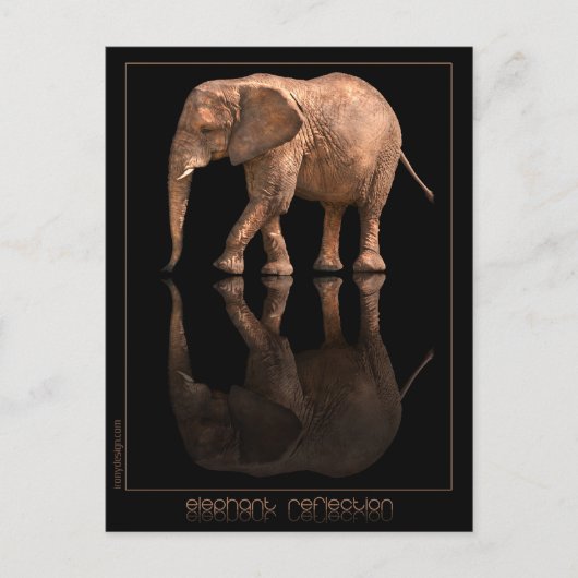 Elephant Reflection Briefkaart (Voorkant)