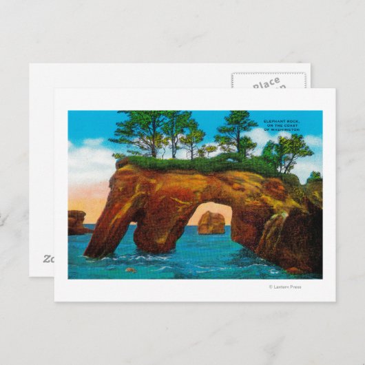 Elephant Rock aan de kust van Washington Briefkaart (Voorkant / Achterkant)