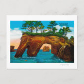 Elephant Rock aan de kust van Washington Briefkaart (Voorkant)