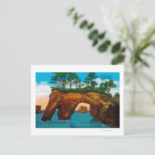 Elephant Rock aan de kust van Washington Briefkaart (Staand voorkant)