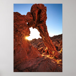 Elephant Rock in de Valley of Fire Poster