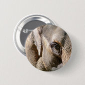 ELEPHANT RONDE BUTTON 5,7 CM (Voorkant /achterkant)