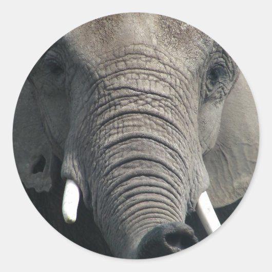 Elephant Ronde Sticker (Voorkant)