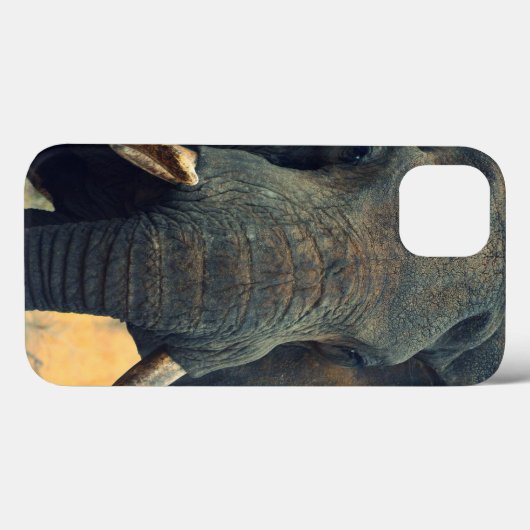 Eléphant sauvage gros plan iPad Mini coque (Verso (horizontal))