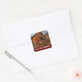 Elephant Save Our Willife Stickers (Envelop)