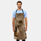ELEPHANT SCHORT (Gedragen)