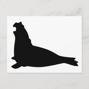 Elephant Seal Briefkaart Black