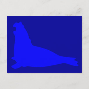 Elephant Seal Briefkaart Blue