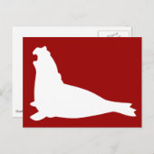 Elephant Seal Briefkaart White (Voorkant / Achterkant)