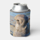 Elephant Seal bull Blikjeskoeler (Blikje Voorkant)