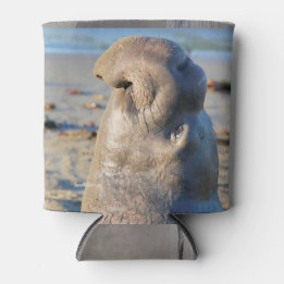 Elephant Seal bull Blikjeskoeler