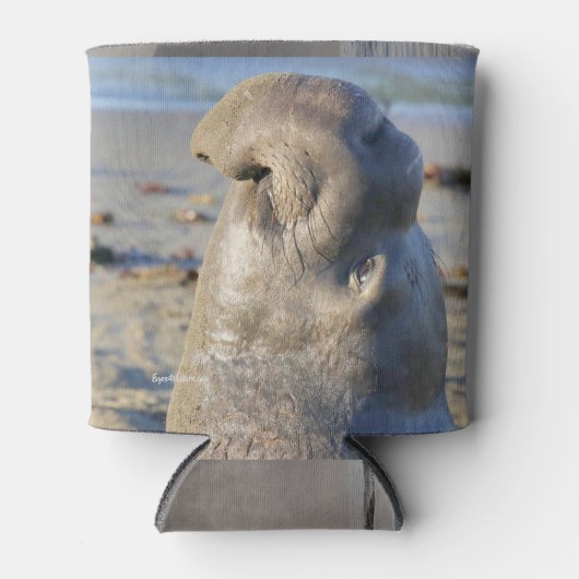 Elephant Seal bull Blikjeskoeler (Voorkant)