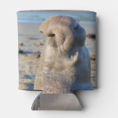 Elephant Seal bull Blikjeskoeler (Achterkant)