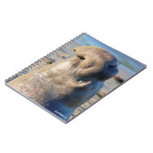 Elephant Seal bull Notitieboek (Linkerzijde)