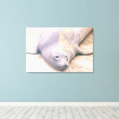 Elephant Seal Canvas Afdruk (Insitu (Houten vloer))