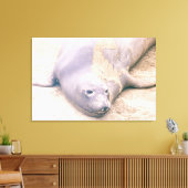 Elephant Seal Canvas Afdruk (Insitu (Woonkamer))