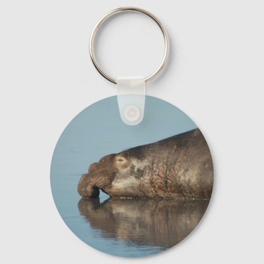 Elephant Seal Sleutelhanger (Voorkant)