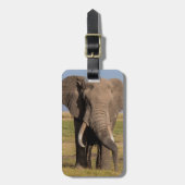 Elephant Searching Bagagelabel (Voorkant verticaal)