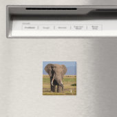 Elephant Searching Magneet (Insitu (Vaatwasser))