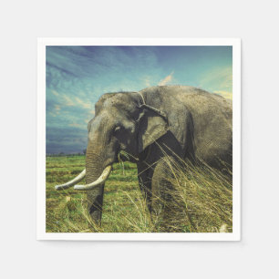 Elephant Servet