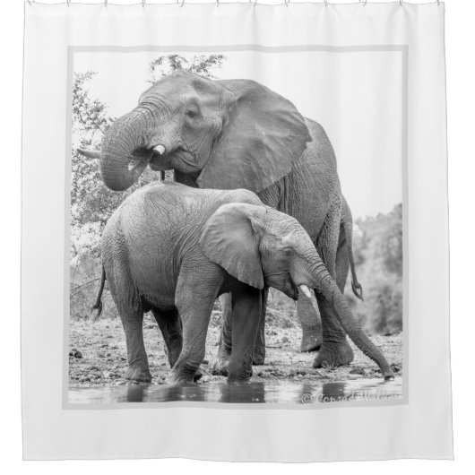 Elephant Shower Curtain Douchegordijn (Voorkant)