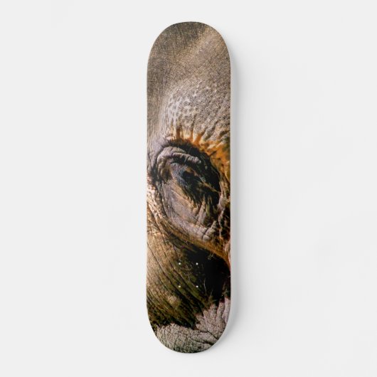 ELEPHANT SKATEBOARD (Voorkant)