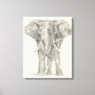 Elephant Sketch Canvas Afdruk