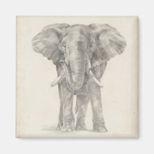 Elephant Sketch Magneet