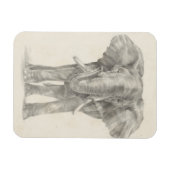 Elephant Sketch Magneet (Horizontaal)