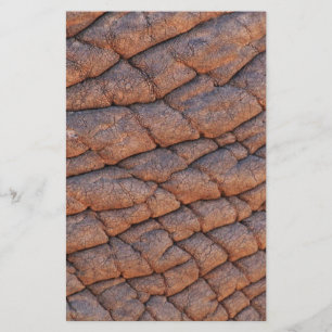 Elephant Skin Briefpapier