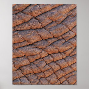Elephant Skin Poster