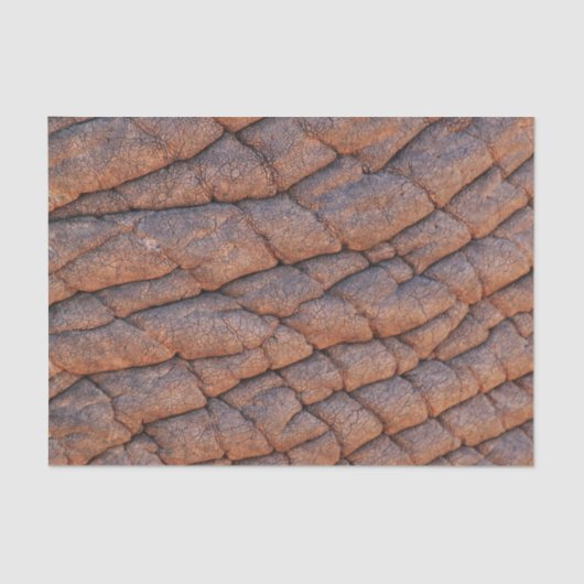 Elephant Skin Tissuepapier (Voorkant)