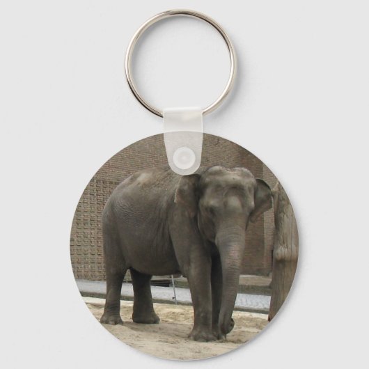 ELEPHANT SLEUTELHANGER (Voorkant)