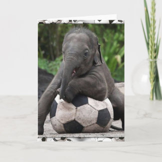 Elephant Soccer Kaart