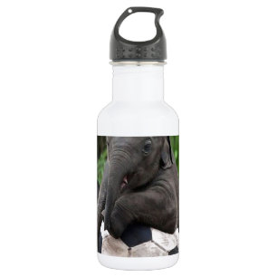 Elephant Soccer Waterfles