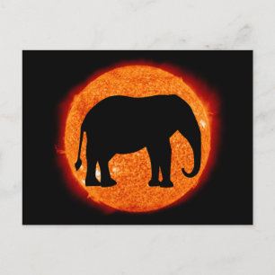 Elephant Solar Eclipse Briefkaart