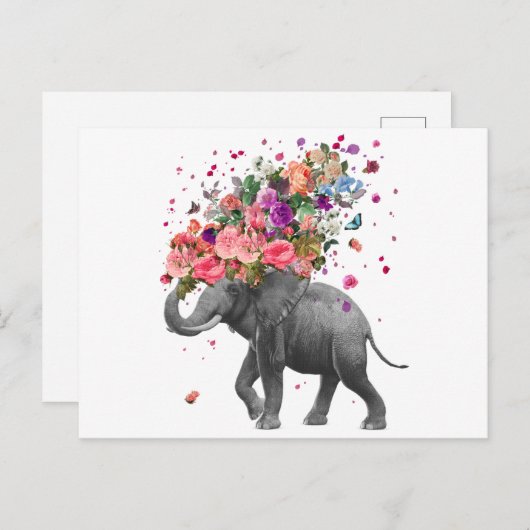 Elephant Splash Briefkaart (Voorkant / Achterkant)