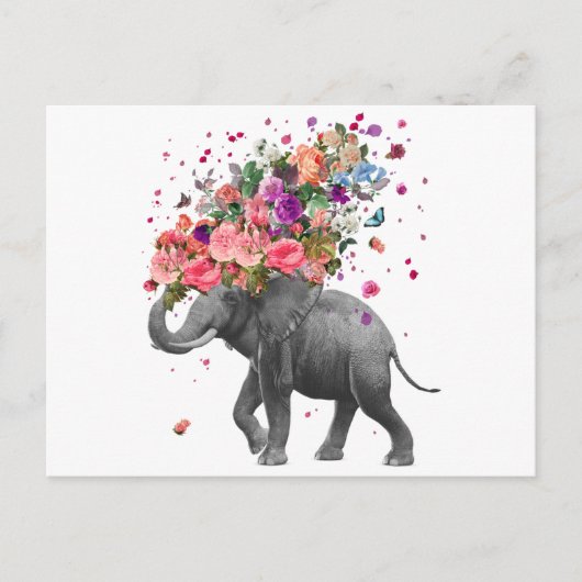 Elephant Splash Briefkaart (Voorkant)