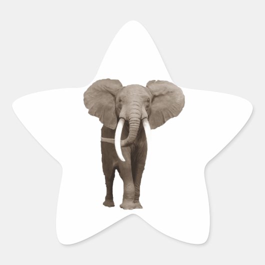 Elephant Ster Sticker (Voorkant)