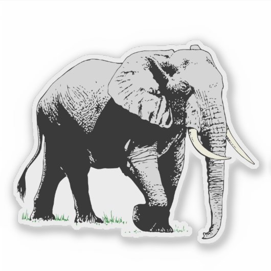 Elephant Sticker (Voorkant)